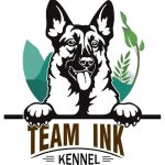 Kennel Team Ink Ooty KCI Licensed German Shepherd Breeder