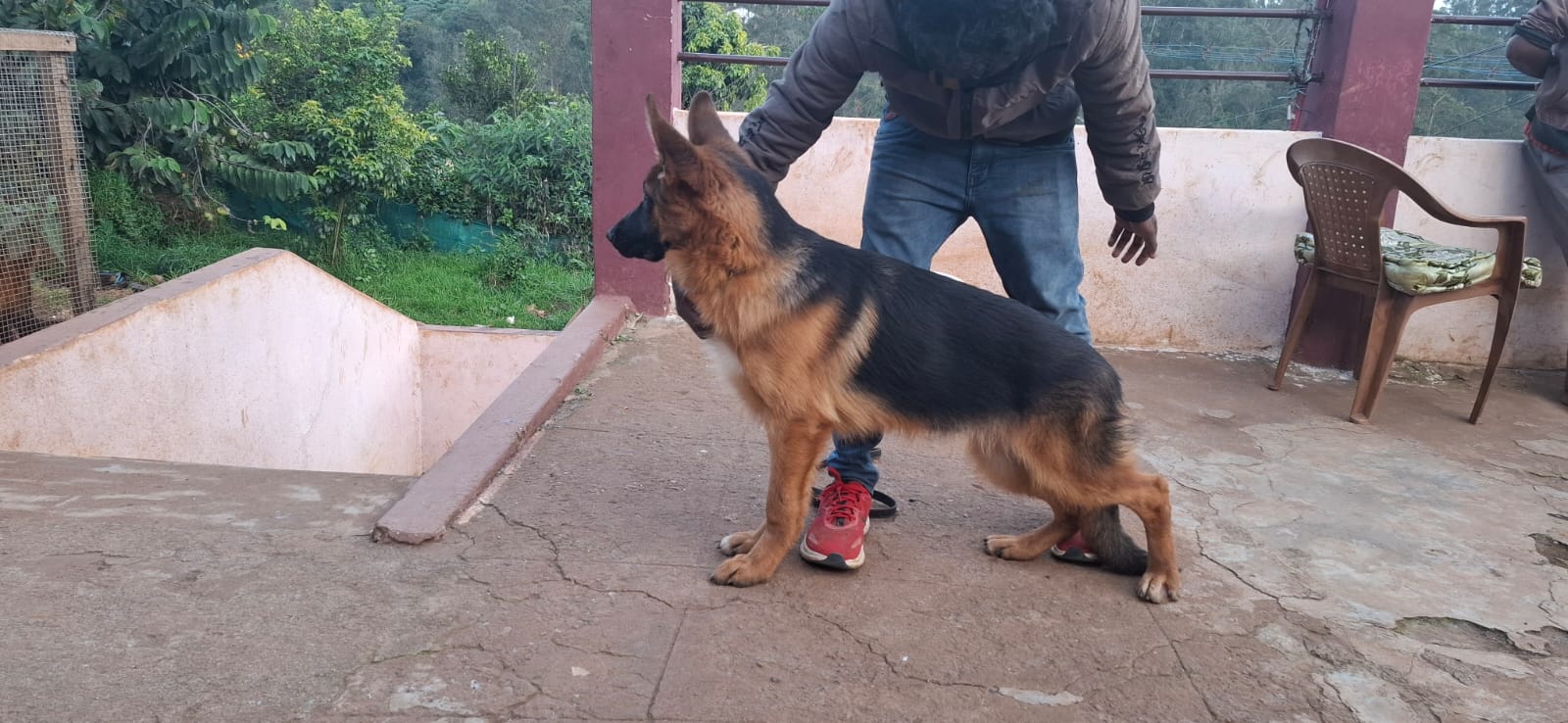 Zeus